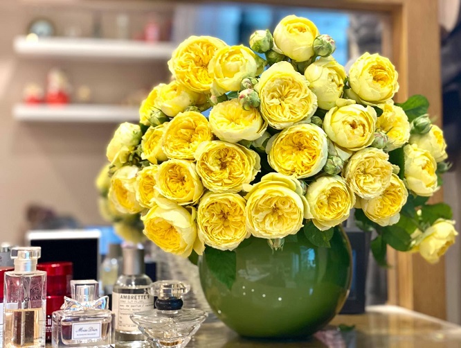 Hoa hồng Catalina màu vàng chanh tuyệt đẹp với phom khum sang trọng -  KiViBaRa || Website Chia Sẻ Thông Tin Về Các Loại Hoa Hồng